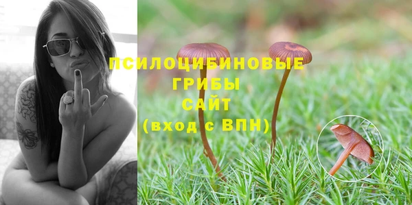 МДМА Протвино